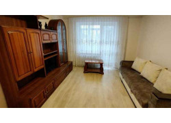 Deluxe city apartment Lutsk