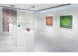 Rotar gallery