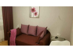 Апартаменты Comfort on Bogdanivska street 7b